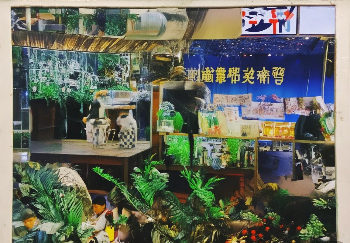 2018世界杯德巴巅峰对决：足球文化碰撞与传承回顾(图3)