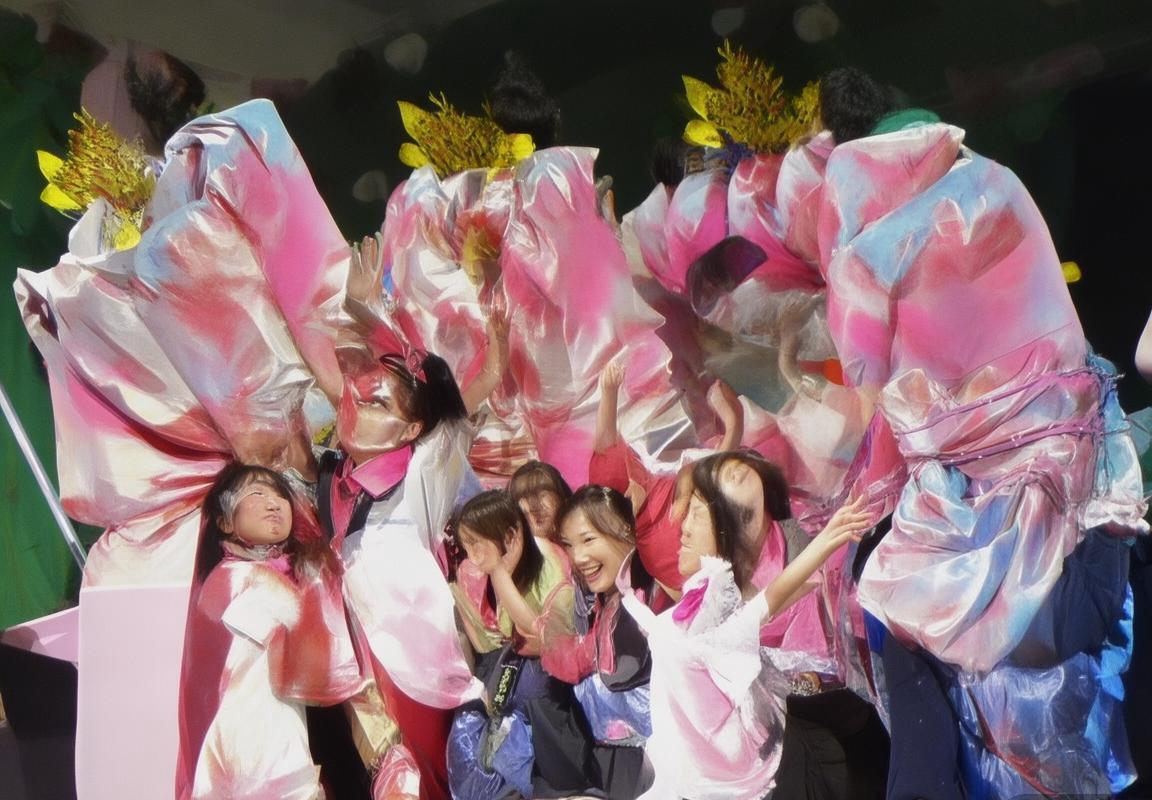 付豪：从平凡少年到璀璨明星的奋斗之路